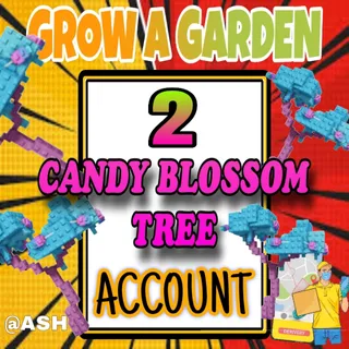 2x Candy Blossom Tree Account (ELDER CANDY BLOSSOM)