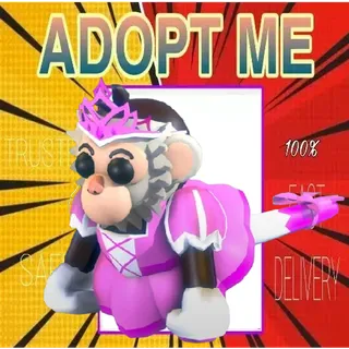 NFR Princess Capuchin Monkey