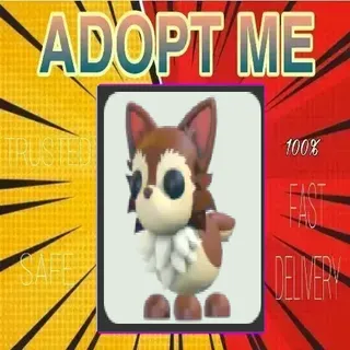 16x Chihuahua