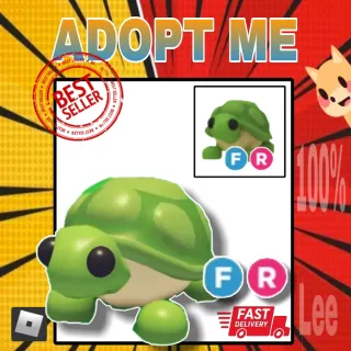 FR Turtle