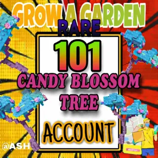 101x Candy Blossom Tree Account (ELDER CANDY BLOSSOM)