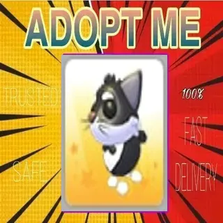16x Tuxedo Cat