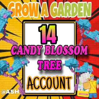 14x Candy Blossom Tree Account 