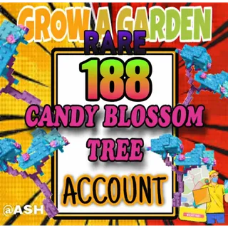 188x Candy Blossom Tree Account (ELDER CANDY BLOSSOM)