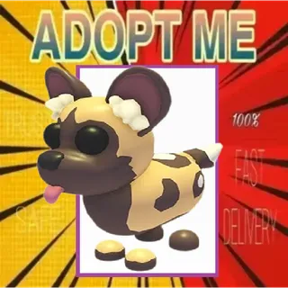 NFR AFRICAN WILD DOG