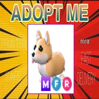 MFR Corgi