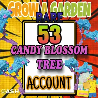 57x Candy Blossom Tree Account (ELDER CANDY BLOSSOM)