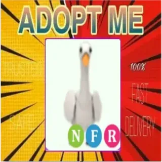 NFR Swan