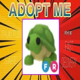 FR Turtle