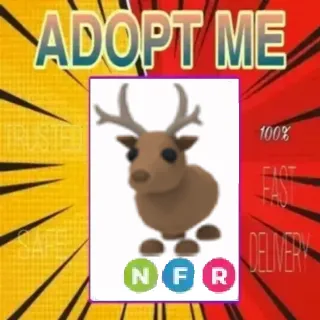 NFR REINDEER