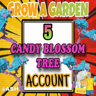 5x Candy Blossom Trees Account (ELDER CANDY BLOSSOM)