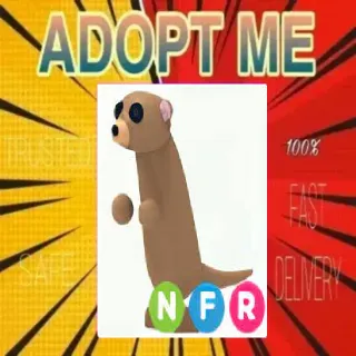 NFR Meerkat