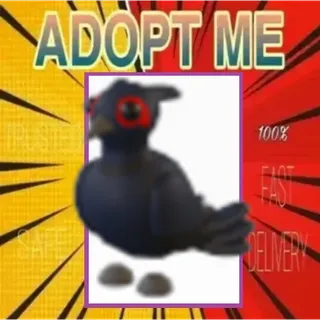 NFR BLACK CHESTED PHEASANT