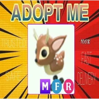 MFR Fallow Deer