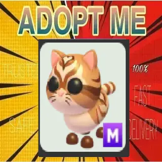Mega Catte