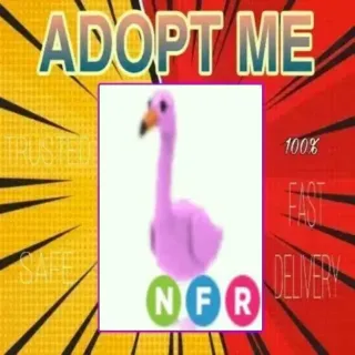 NFR Flamingo