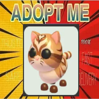16x Catte