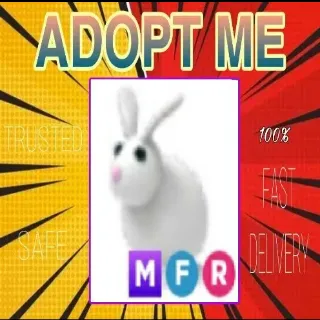 MFR Rabbit