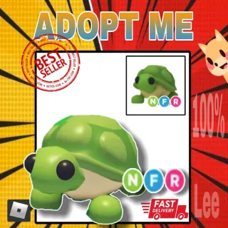 NFR Turtle