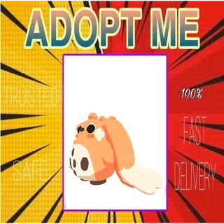 FR Cabbit