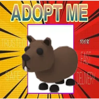 NFR CAPYBARA