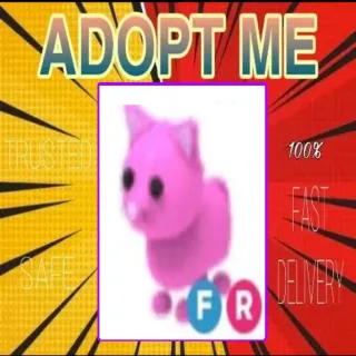 FR Pink Cat