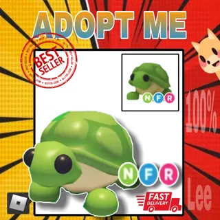 NFR Turtle