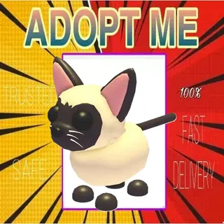 NFR Siamese cat