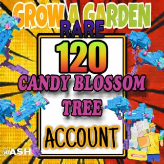 120x Candy Blossom Tree Account (ELDER CANDY BLOSSOM)