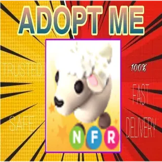 NFR lamb