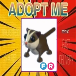 FR SUGAR GLIDER