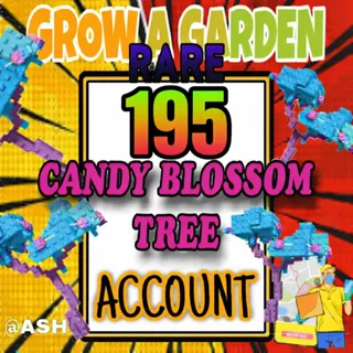 195x Candy Blossom Tree Account (ELDER CANDY BLOSSOM)
