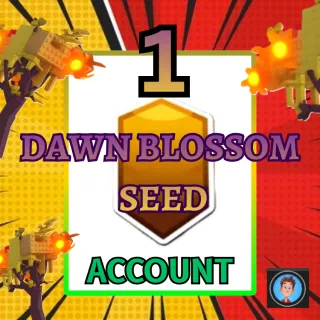 Dawn Blossom Seed Account 