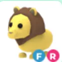 Lion - FR