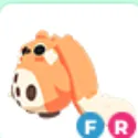 Cabbit - FR
