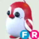 Peppermint Penguin - FR