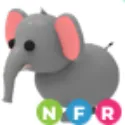 Elephant - NFR