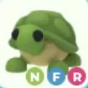 Turtle - NFR