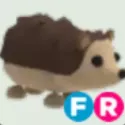 Hedgehog - FR