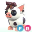 Mini Pig - FR