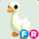 Goose - FR