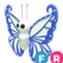 Diamond Butterfly - FR