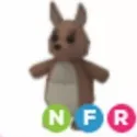 Kangaroo - NFR