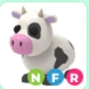 Cow - NFR