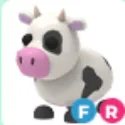 Cow - FR