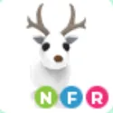 Arctic Reindeer - NFR