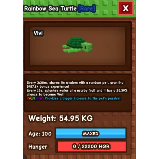 Huge Rainbow Sea Turtle