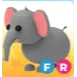 FR Elephant