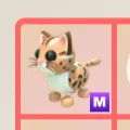 Mega Leopard Cat