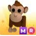 Mega Monkey